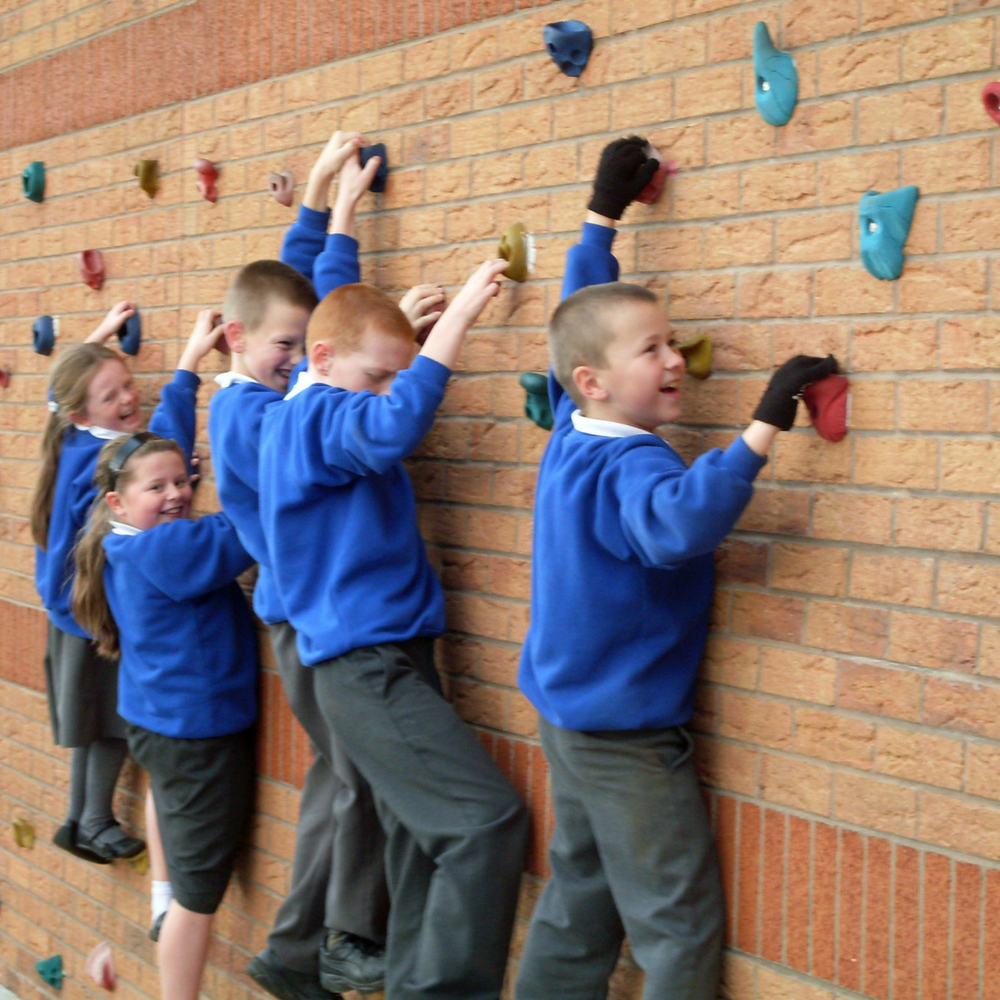 Wall Mounted Traverse Hand and Footholds