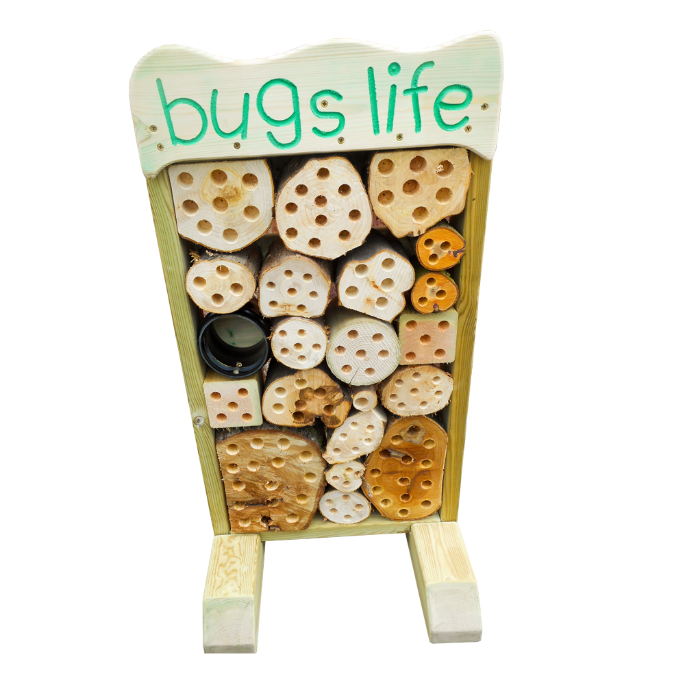 Bugs Life Bugs Life