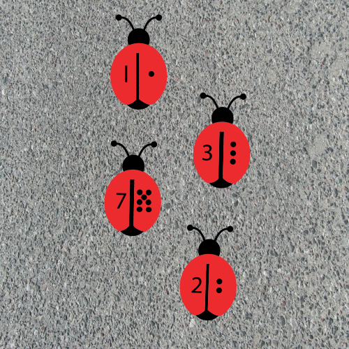 Counting Ladybirds Counting Ladybirds
