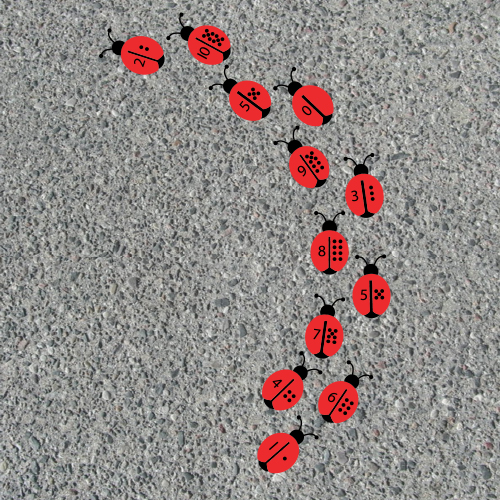 Counting Ladybirds Counting Ladybirds