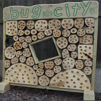 Bug City Bug City