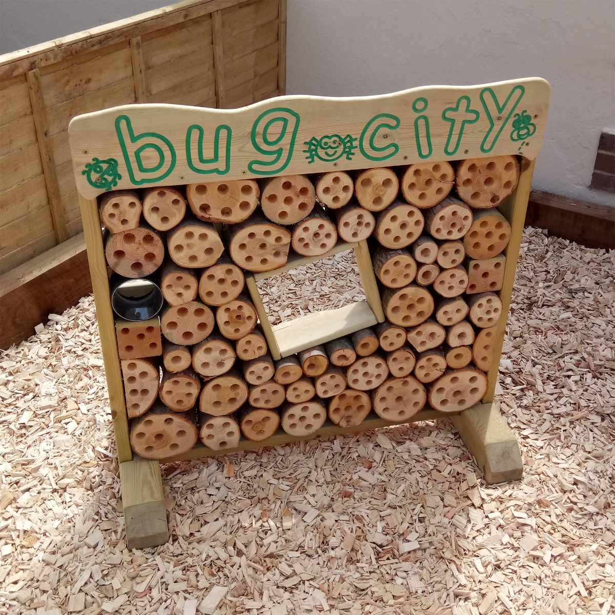 Bug City Bug City