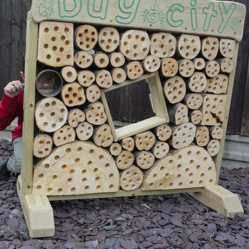 Bug City Bug City