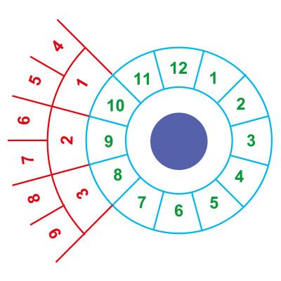 Ball Catcher Target
