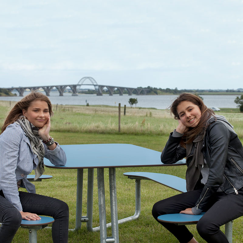 Plateau L Picnic Table