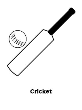 Cricket Cricket