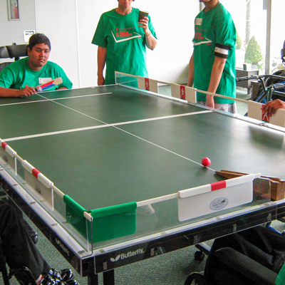 Table Cricket Full Set (Clear) Table Cricket Full Set (Clear)